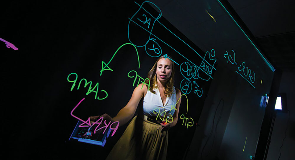 Professor Jennifer Bryant using a lightboard.
