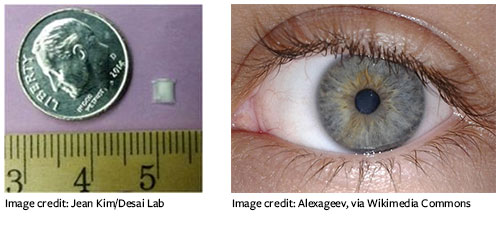 Left: implant shown considerably smaller than a dime; right: Close-up of human eye