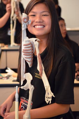 Student working with skeleton maquette