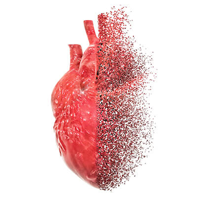 illustration of heart disintegrating on right half into flowing bits.