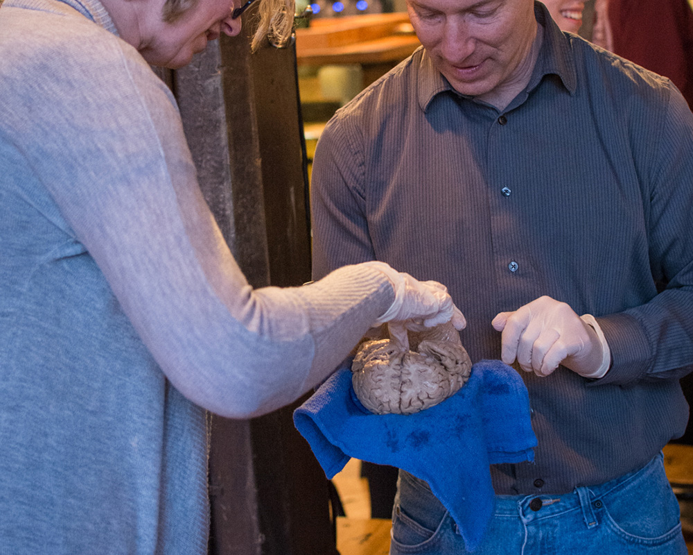 The 2019 EiS festival included the presentation “The Science of What’s Alive (or Not).” - Two people inspect a brain with gloved hands.