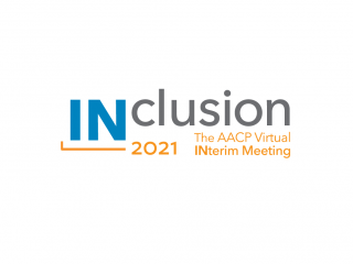 INclusion 2021 logo