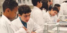 Students learning about pharmacy through lab activities