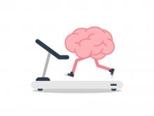 Brain running on treadmill.