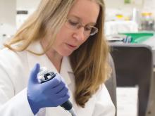 Dr. Sylvie Garneau-Tsodikova in the lab.